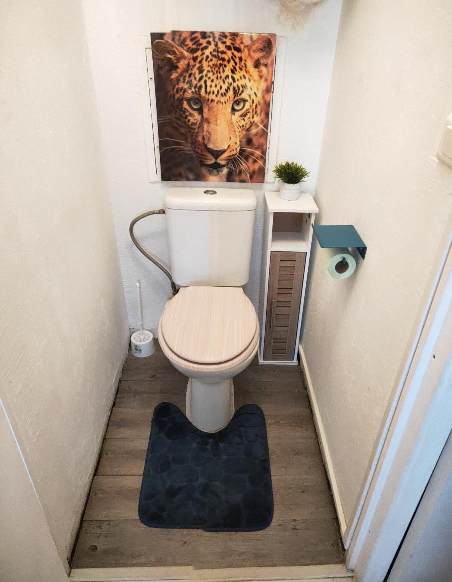 La Perle Marine, Cosy Et Renove, 200 M De La Plage, 1 Chambre, Parking Et Wifi سُت المظهر الخارجي الصورة