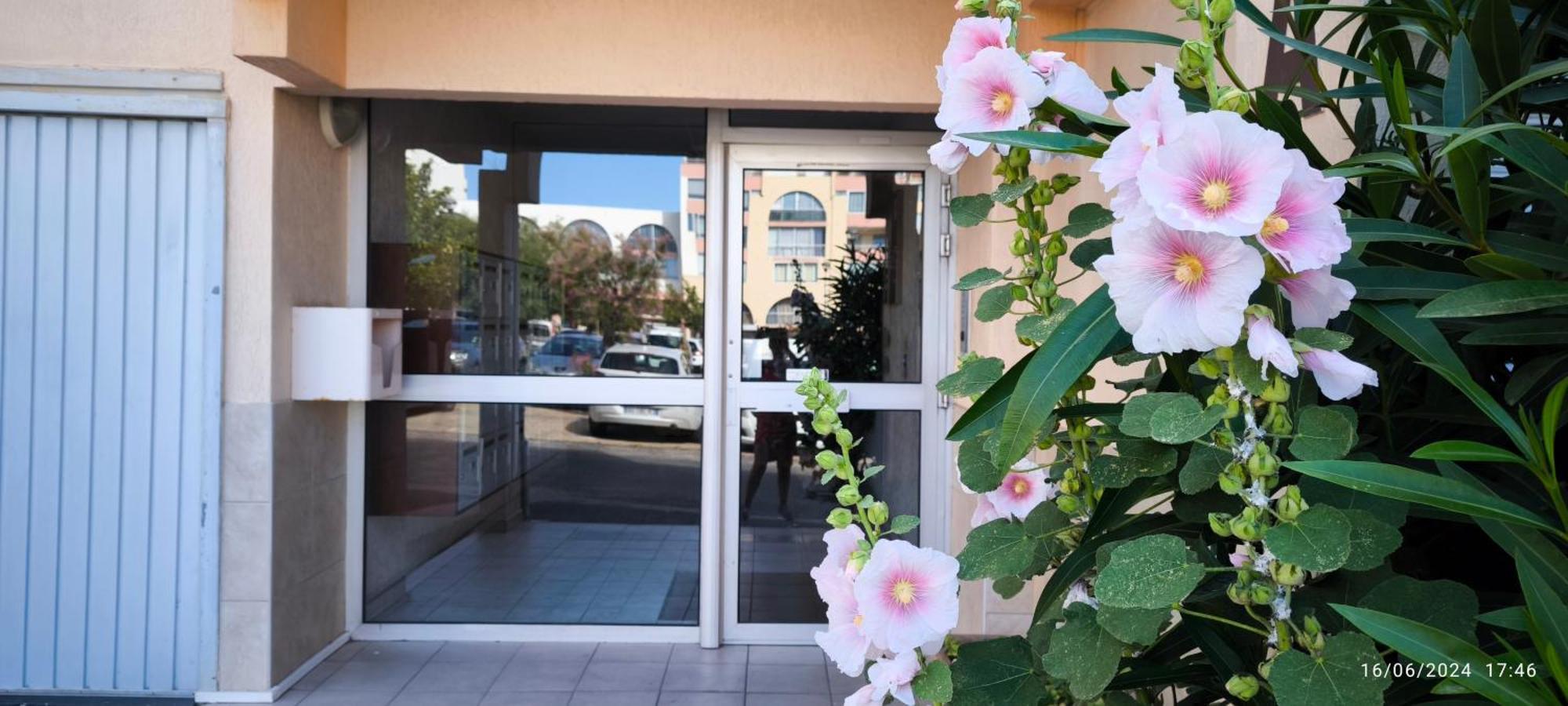 La Perle Marine, Cosy Et Renove, 200 M De La Plage, 1 Chambre, Parking Et Wifi سُت المظهر الخارجي الصورة